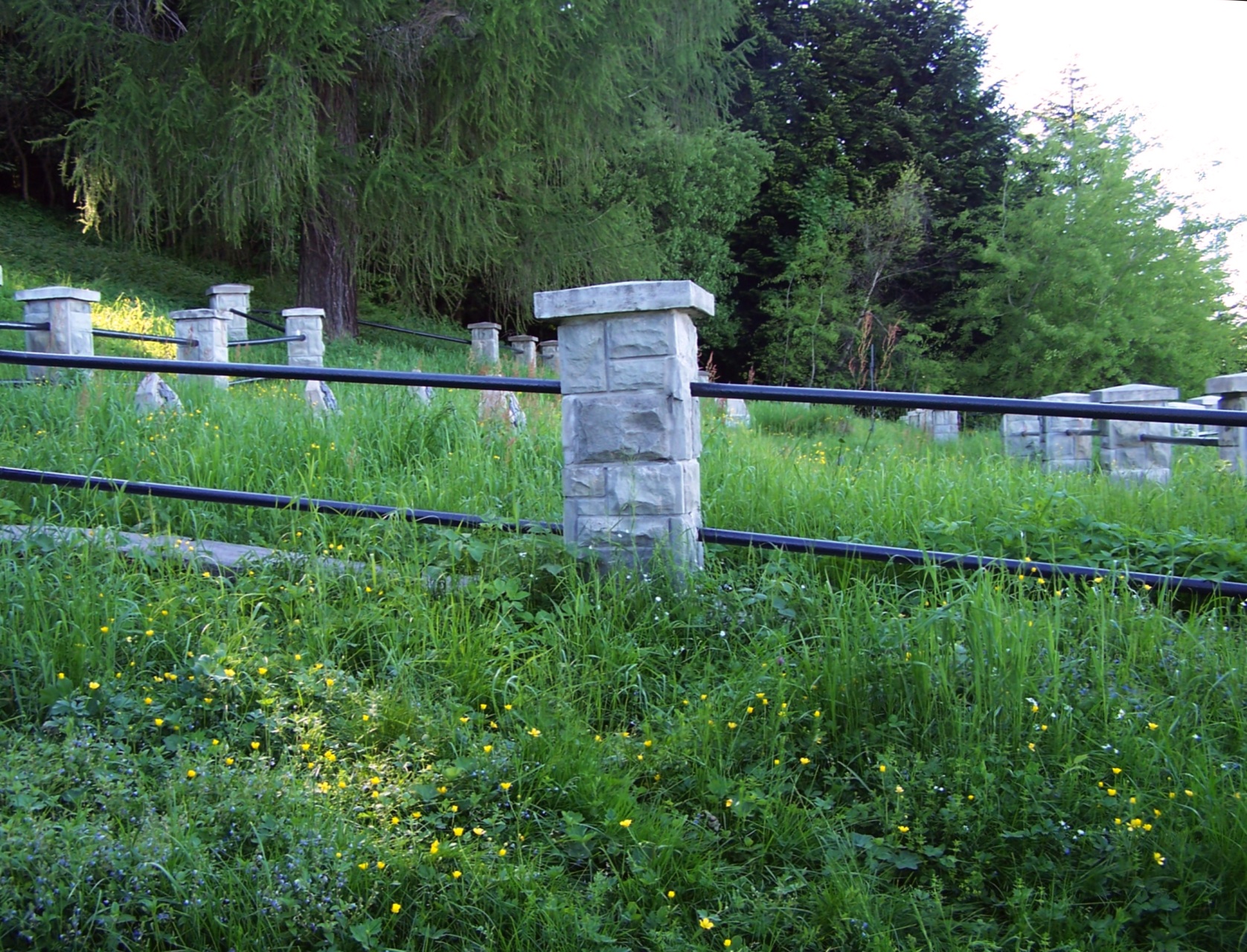 Cmentarz wojenny nr 369